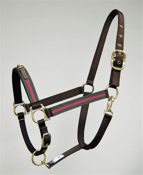 gucci horse halter|gucci horses game.